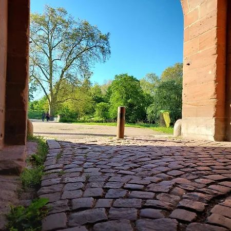 Alsacetime, Centre Parking Gratuit, Tram Wifi, Fibre Orange, Espace De Travail Lägenhet Strasbourg